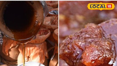 আসল এবং ভেজাল নলেন গুড়ের মধ্যে পার্থক্য