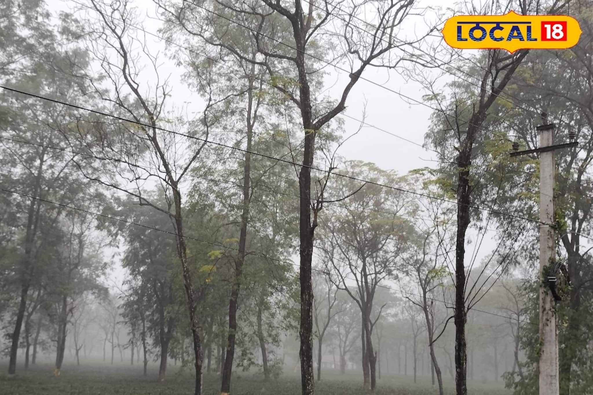 কুয়াশার লাল সতর্কতা জারি, হু হু ঠান্ডা হাওয়ায় কাঁপছে উত্তর, আরও নামবে তাপমাত্রা কুয়াশার লাল সতর্কতা জারি, হু হু ঠান্ডা হাওয়ায় কাঁপছে উত্তর, আরও নামবে তাপমাত্রা