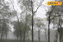 Fog Alert in North Bengal: কুয়াশার লাল সতর্কতা জারি, হু হু ঠান্ডা হাওয়ায় কাঁপছে উত্তর, আরও নামবে তাপমাত্রা