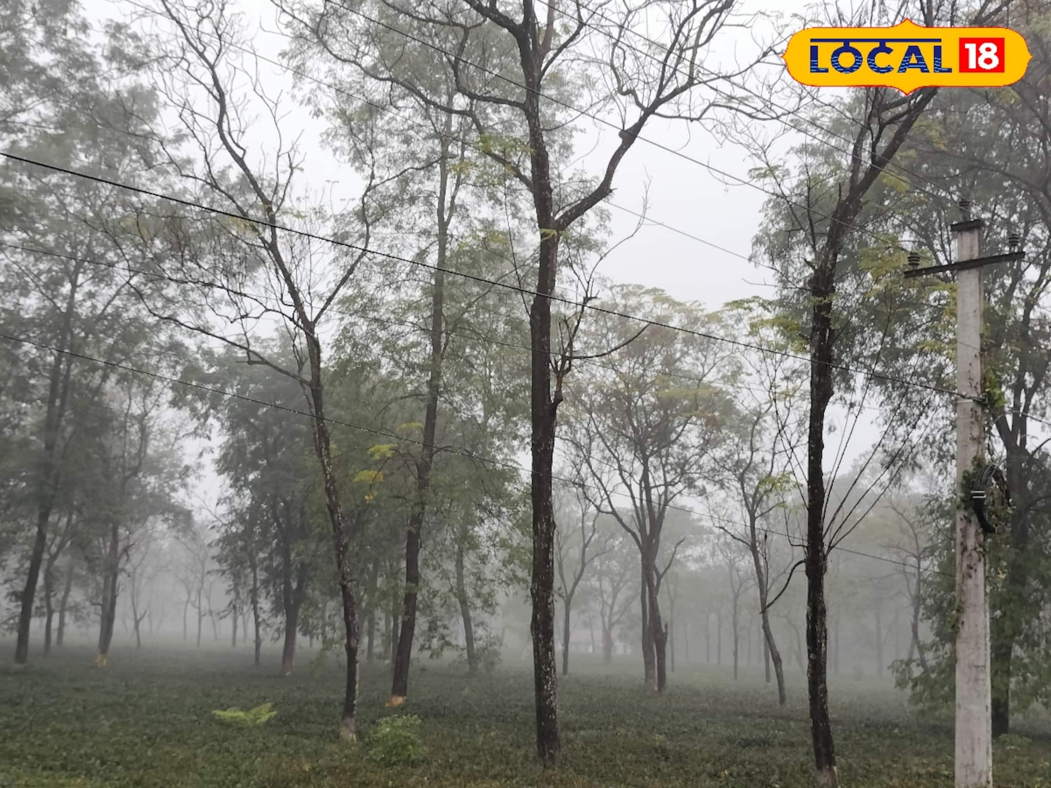 কুয়াশার লাল সতর্কতা জারি, হু হু ঠান্ডা হাওয়ায় কাঁপছে উত্তর, আরও নামবে তাপমাত্রা কুয়াশার লাল সতর্কতা জারি, হু হু ঠান্ডা হাওয়ায় কাঁপছে উত্তর, আরও নামবে তাপমাত্রা