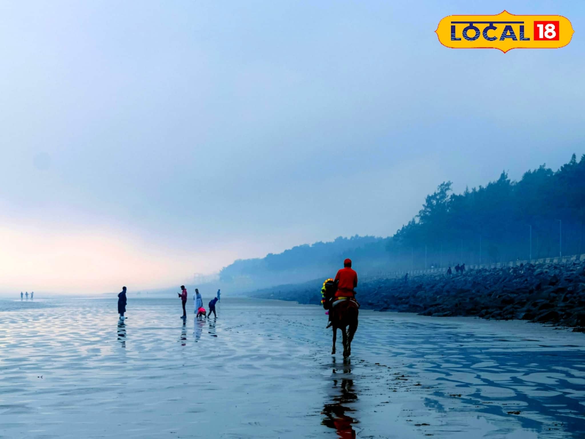সকালে ঘন কুয়াশা, শুষ্ক আবহাওয়া দক্ষিণবঙ্গে! শীতের দাপট বাড়বে নাকি কমবে?