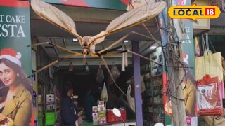 এখানেই আসেন আধিকারিকরা এখানেই আসেন আধিকারিকরা