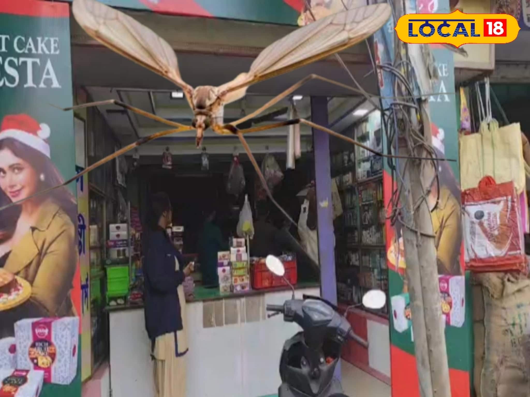 মশা মারার তেলেও যাচ্ছে না মশা! কারণ খুঁজতে কাকদ্বীপে আধিকারিকরা, গ্রেফতার ১