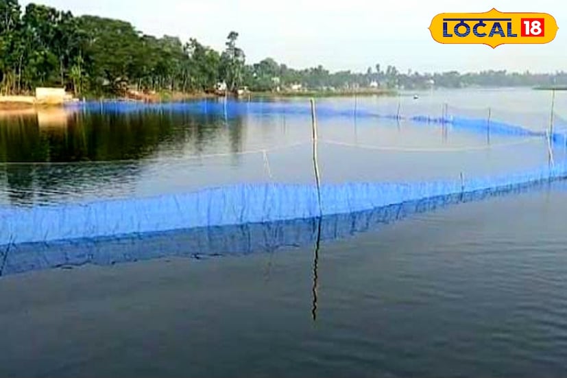 এলাকার প্রায় কয়েকশো মৎস্যজীবী গাইঘাটা ডুমা বাওরের উপর তাদের জীবন জীবিকা চালান। সারাবছরই সুবিশাল এই বাওরে মাছ ধরেই চলে সংসার। বাওরের মাছ স্থানীয় এলাকায় বা বাজারে বিক্রি করে যা উপার্জন হয় তা দিয়েই ছেলেমেয়ে-সহ পরিবারের মুখে হাসি ফোটান এই মৎস্যজীবীরা। (ছবি ও তথ্য: রুদ্র নারায়ণ রায়)