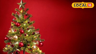 ক্রিসমাস ট্রির সাজসজ্জায় চারটি রঙের ব্যবহার! জানুন কারণ 