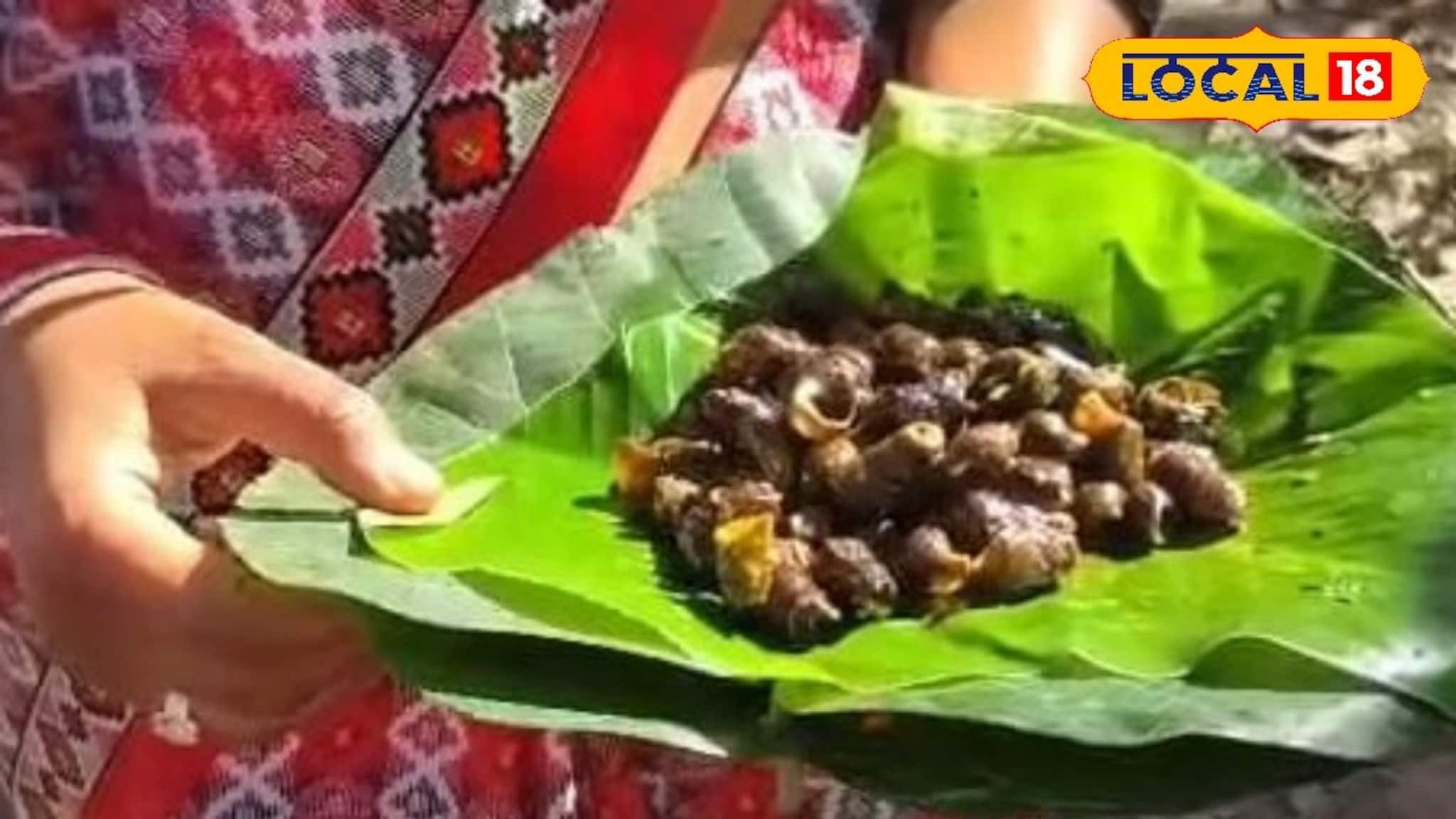 Alipurduar News: চিলাপাতা যাচ্ছেন ঘুরতে? তবে অবশ্য‌ই যান এই পয়েন্টে, মিলবে রাভাদের স্থানীয় খাবার