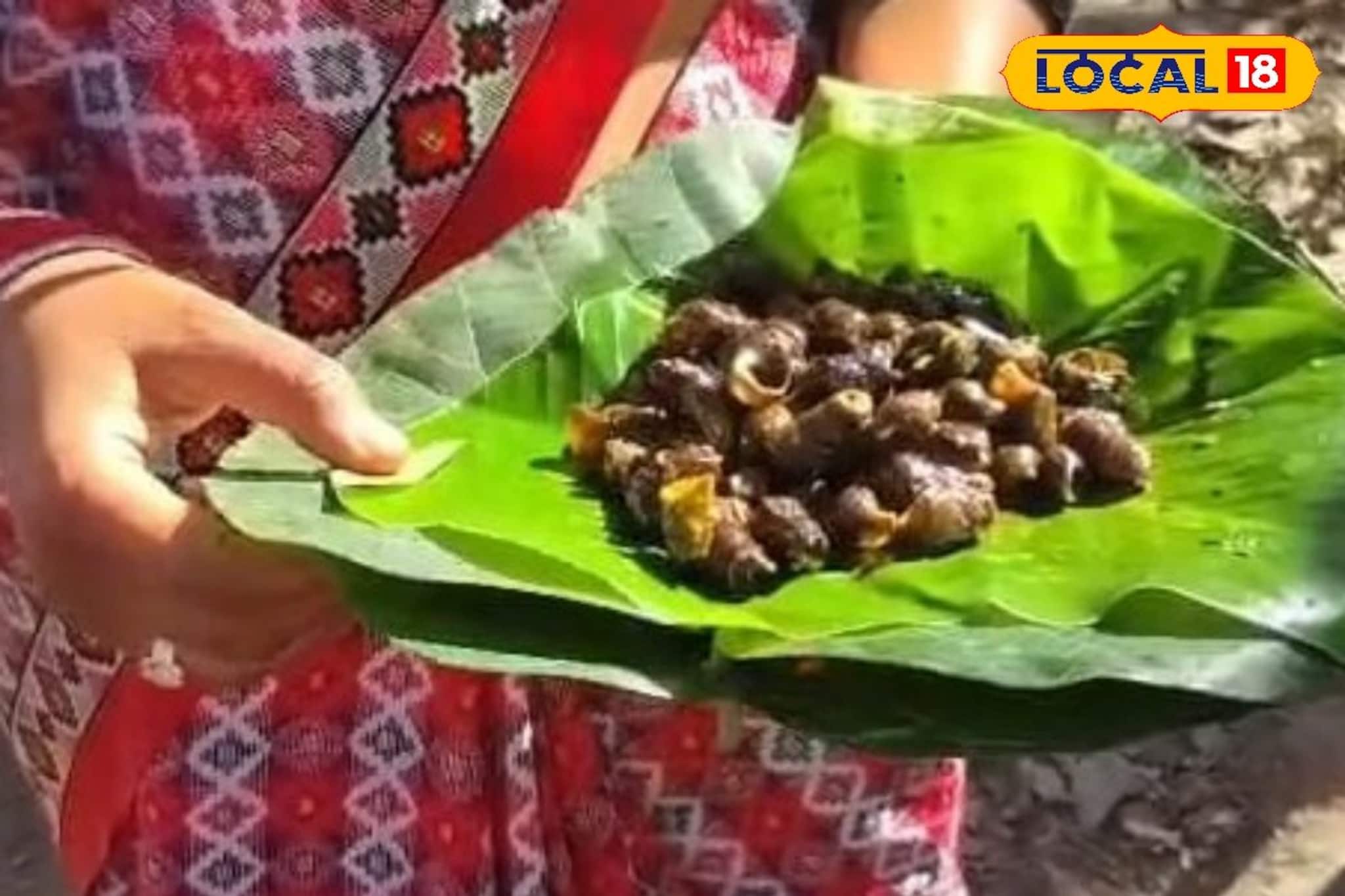 চিলাপাতা যাচ্ছেন ঘুরতে? তবে অবশ্যই যান এই পয়েন্টে, মিলবে রাভাদের স্থানীয় খাবার চিলাপাতা যাচ্ছেন ঘুরতে? তবে অবশ্যই যান এই পয়েন্টে, মিলবে রাভাদের স্থানীয় খাবার