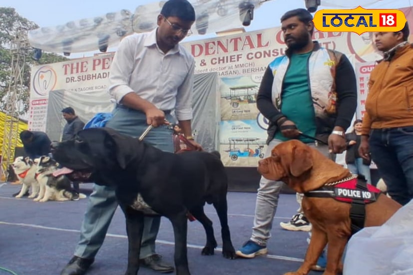 নবাবের শহর মুর্শিদাবাদে ফিরল এক অন্যরকম উৎসবের আবহ। দীর্ঘ ২৮ বছর পর বহু প্রতীক্ষার অবসান ঘটিয়ে গ্র্যান্ড ডগ শোয়ের আসর বসায় বহরমপুর জুড়ে খুশির হাওয়া। সবাইকে টেক্কা দিয়ে কে সেরা পুরস্কার পেল দেখুন। (ছবি ও তথ্যঃ কৌশিক অধিকারী)