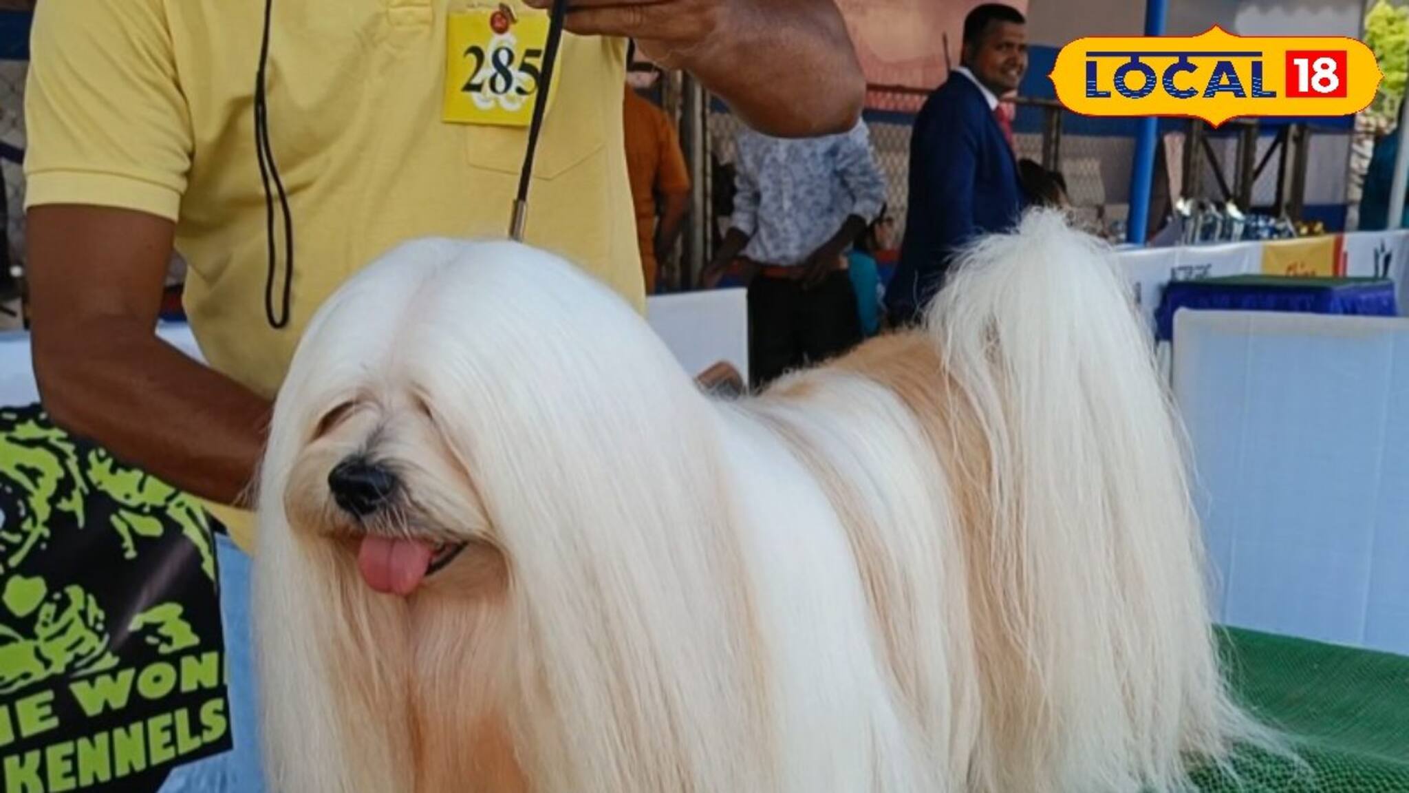 শীত পড়তেই পোষ্য কুকুরদের চাই স্পেশ্যাল কেয়ার,  কী কী বাড়তি সতর্কতা নেবেন, জানুন বিশদে