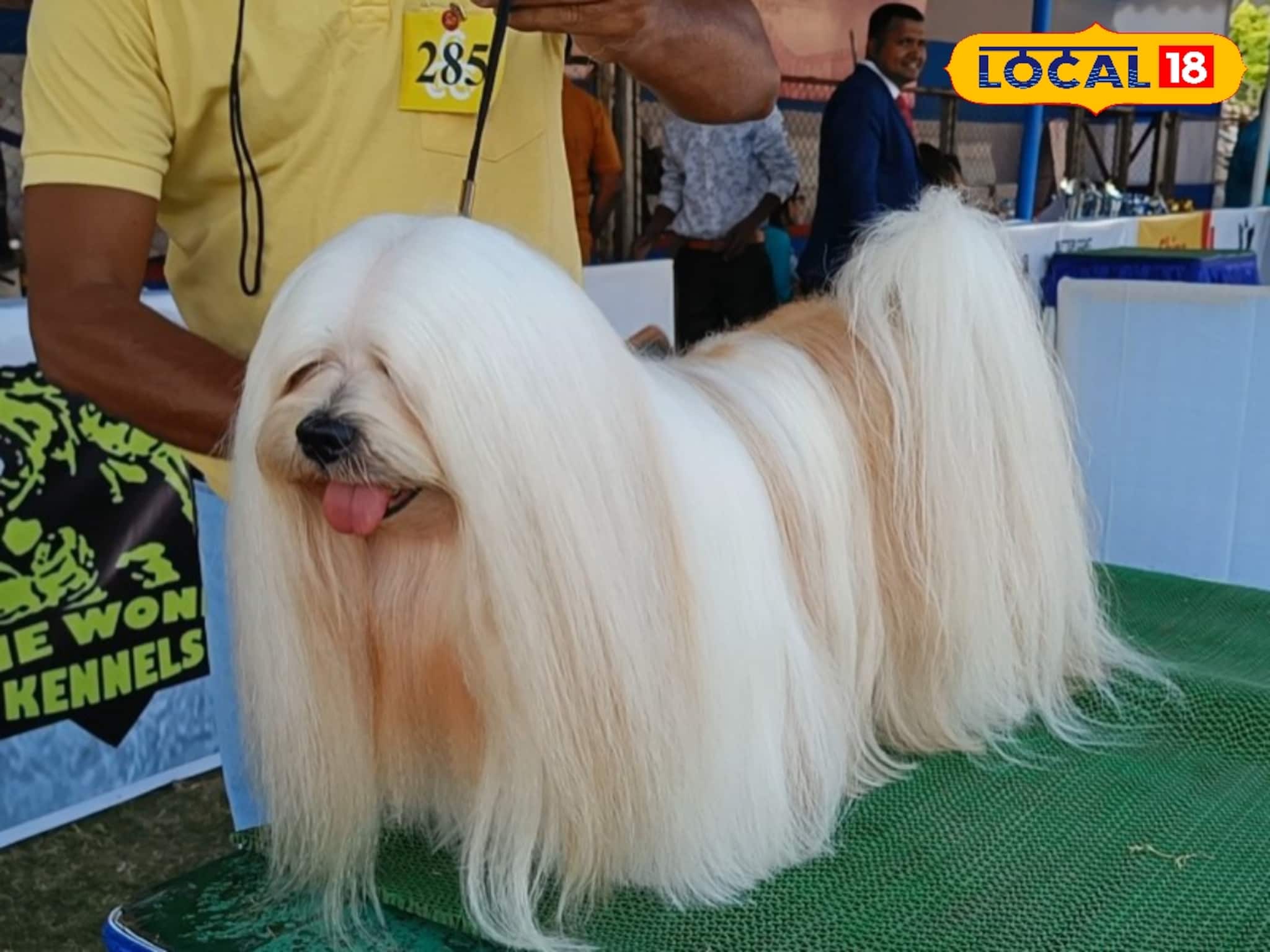 শীত পড়তেই পোষ্য কুকুরদের চাই স্পেশ্যাল কেয়ার,  কী কী বাড়তি সতর্কতা নেবেন, জানুন বিশদে