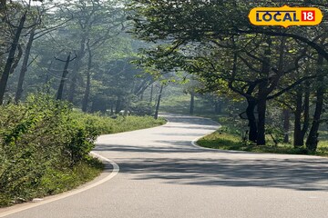 বড়দিনের আগে খুশির খবর! বৃহস্পতিবারও খোলা থাকবে গরুমারা জঙ্গল, বড় সিদ্ধান্ত কর্তৃপক্ষের