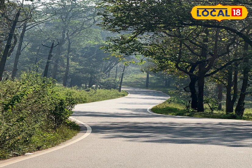 হাতেগোনা আর কদিন বাদেই বড়দিন আর নতুন বছরের আগমনী! ছুটির এই দিনগুলোয় জঙ্গল সাফারি করার প্ল্যান রয়েছে? এদিকে গুরুত্বপূর্ণ এই দুটো দিনই বৃহস্পতিবার পড়ায় পিছিয়ে যাচ্ছেন? কারণ বৃহস্পতিবার মানেই জঙ্গল সাফারি তো বন্ধ! না, এবার পর্যটকদের কথা মাথায় রেখে গুরুত্বপূর্ণ সিদ্ধান্ত নিল বন দফতর। স্বস্তির খবর রইল ভ্রমণ প্রেমীদের জন্য। (ছবি ও তথ্য: সুরজিৎ দে)