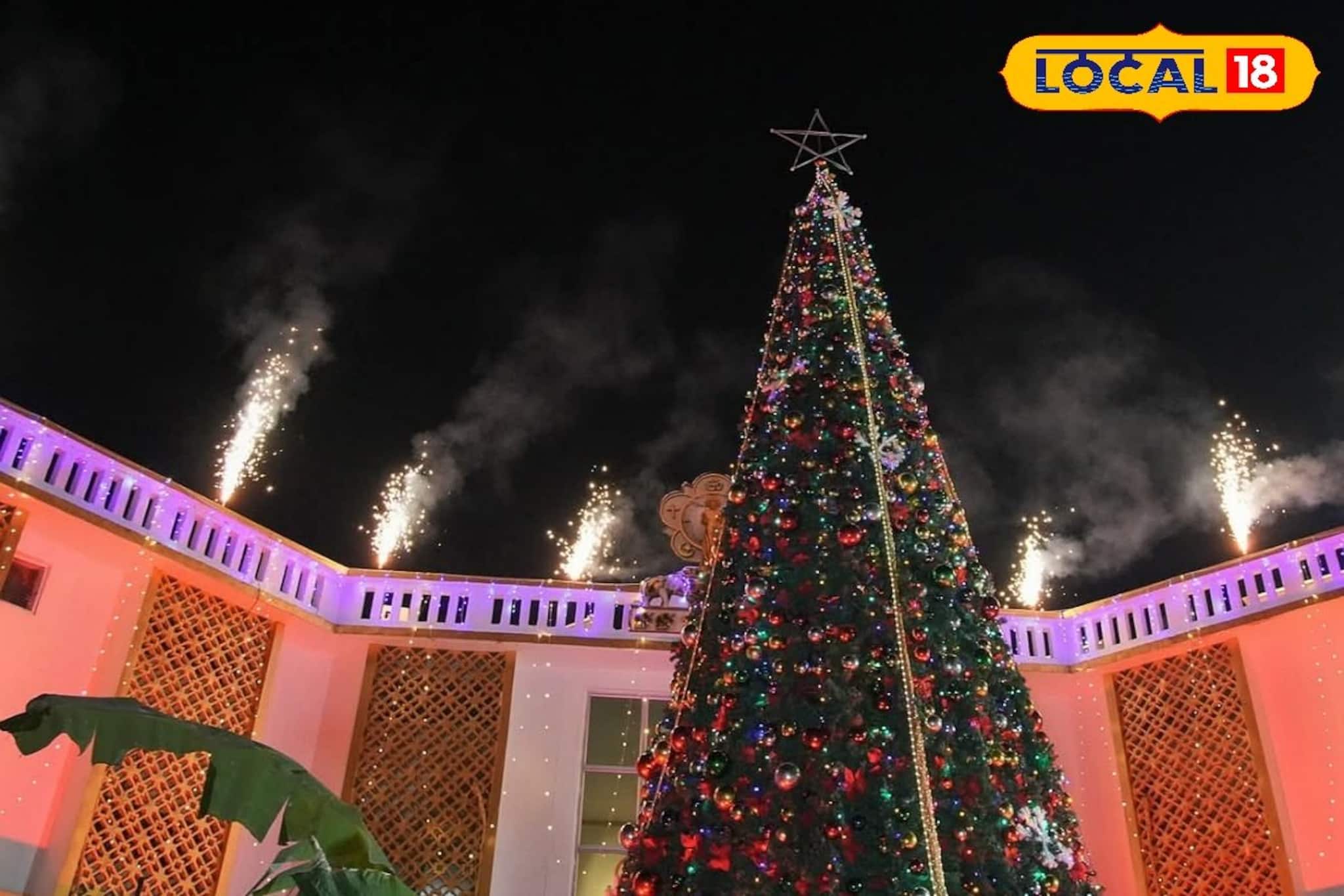 বড়দিনে  ক্রিসমাস ট্রি সাজাবেন? বাস্তু মেনে রাখুন সঠিক জায়গায়, ফুলে ফেঁপে উঠবে সংসার