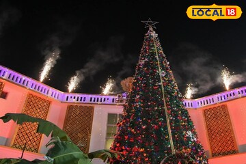 বড়দিনে  ক্রিসমাস ট্রি সাজাবেন? বাস্তু মেনে রাখুন সঠিক জায়গায়, ফুলে ফেঁপে উঠবে সংসার