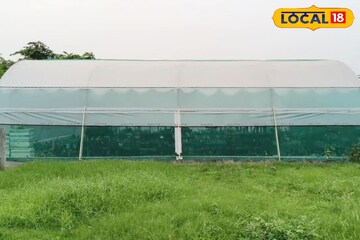 জয়চণ্ডীতে যুবকদের দুর্দান্ত 'বিজনেস আইডিয়া'! ক্যাকটাস চাষে করছেন অঢেল লাভ