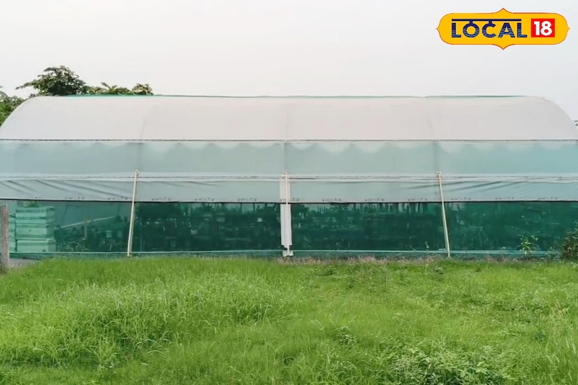 পুরুলিয়ার অন্যতম জনপ্রিয় পর্যটন কেন্দ্র জয়চণ্ডী পাহাড়। শীতের মরশুমে এই পাহাড়ে বেড়াতে আসা পর্যটকদের কাছে এখন নতুন আকর্ষণ হয়ে উঠেছে পাহাড়ের পাদদেশে গড়ে ওঠা ক্যাকটাস বাগান। রঘুনাথপুর শহরের এক যুবক সুরঞ্জন সরকার পরম যত্নে দেশি-বিদেশি ৭০০-রও বেশি প্রজাতির ক্যাকটাস চাষ করে এই ব্যতিক্রমী উদ্যোগ গড়ে তুলেছেন। (ছবি ও তথ্য: শান্তনু দাস)