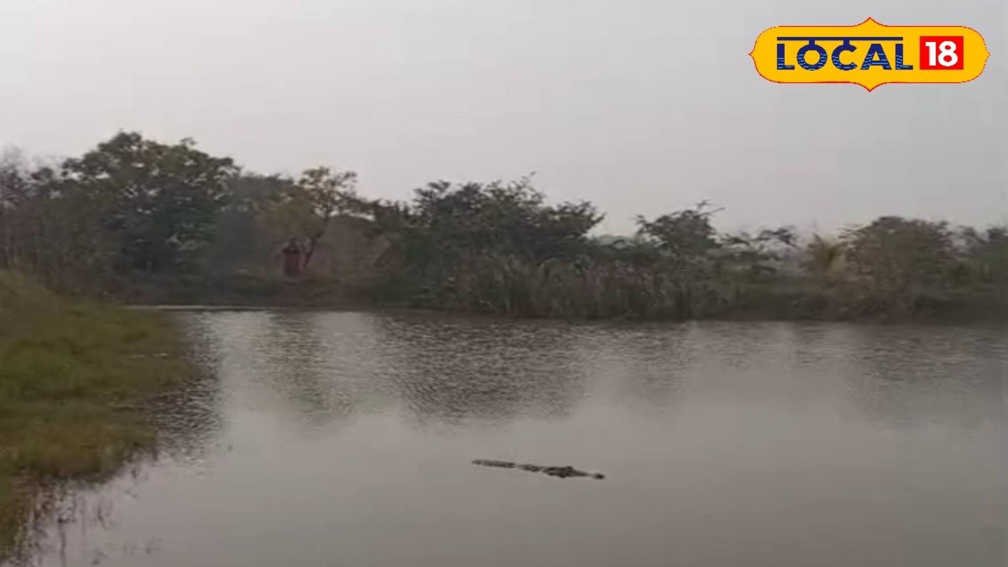বলেরবাজারে গৃহস্থের বাড়ির পুকুরে ঢুকল কুমির! তুমুল আতঙ্ক এলাকায়