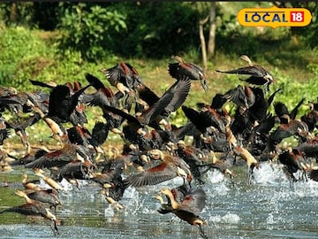 প্রতিকী