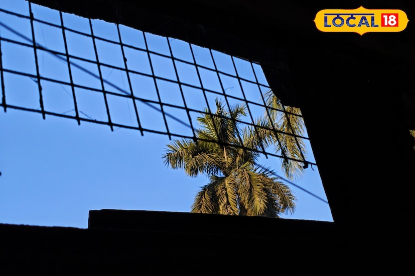 শীতের মরসুমে মঙ্গলবার বাঁকুড়া জেলার আবহাওয়া জেলাবাসীর কাছে স্বস্তিদায়ক বলেই মনে করছেন আবহাওয়াবিদরা। ভোরের দিকে হালকা ঠান্ডার অনুভূতি থাকলেও সূর্য ওঠার সঙ্গে সঙ্গে মিষ্টি রোদে দিনের শুরু হয়েছে। সকালে কোথাও কোথাও হালকা ধোঁয়াশা দেখা গেলেও বেলা বাড়ার সঙ্গে সঙ্গে আকাশ পরিষ্কার হয়ে যায়।