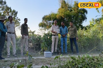 জঙ্গলঘেঁষা চা বাগানে লেপার্ড আতঙ্ক! ড্রোন উড়িয়ে প্যান্থারের গতিবিধিতে নজরদারি