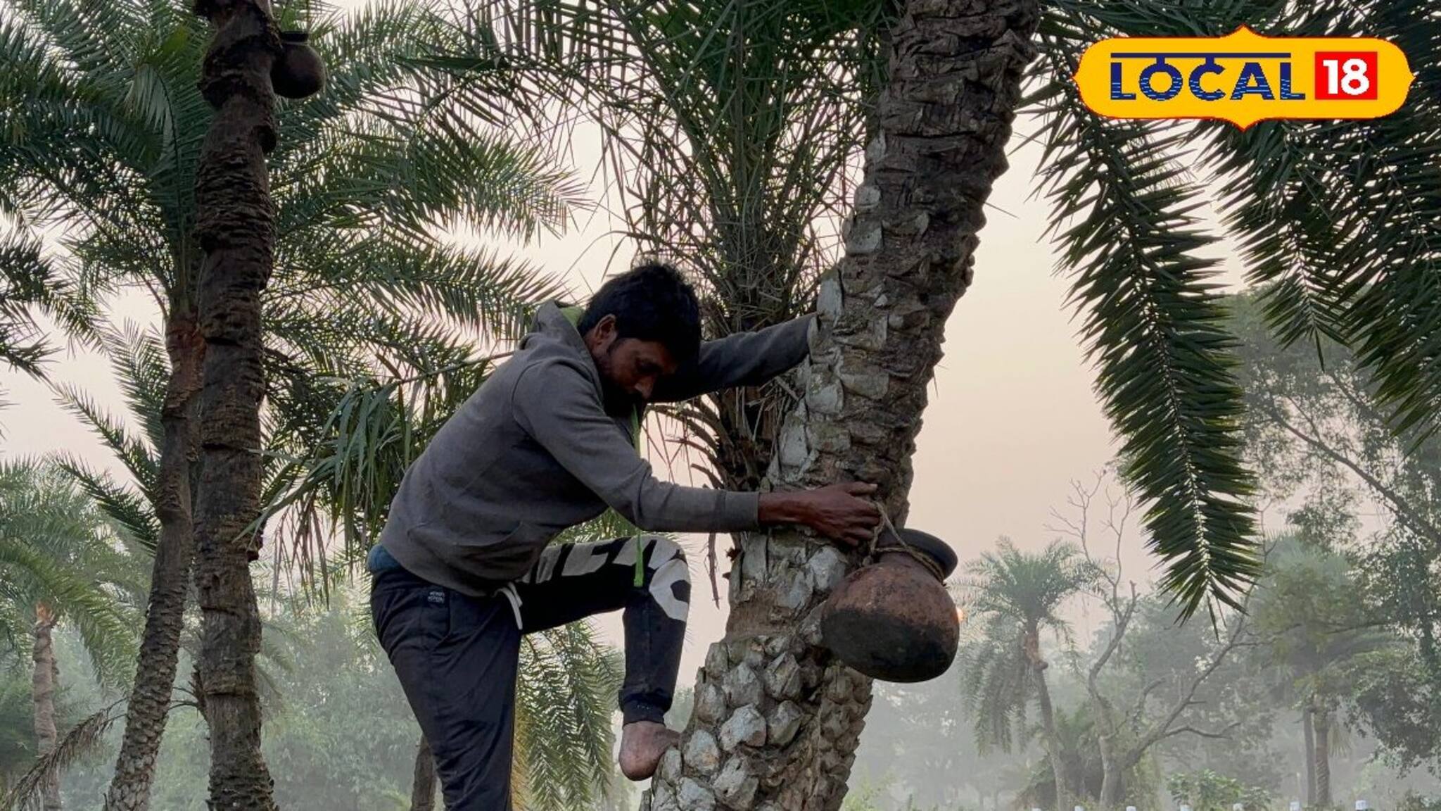 শীতের স্বাদে পাটালি, জানুন খেঁজুর গুড় দিয়ে তৈরি পাটালির অজানা গল্প!