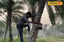 Khejur Gur: শীতের স্বাদে পাটালি, জানুন খেঁজুর গুড় দিয়ে তৈরি পাটালির অজানা গল্প!