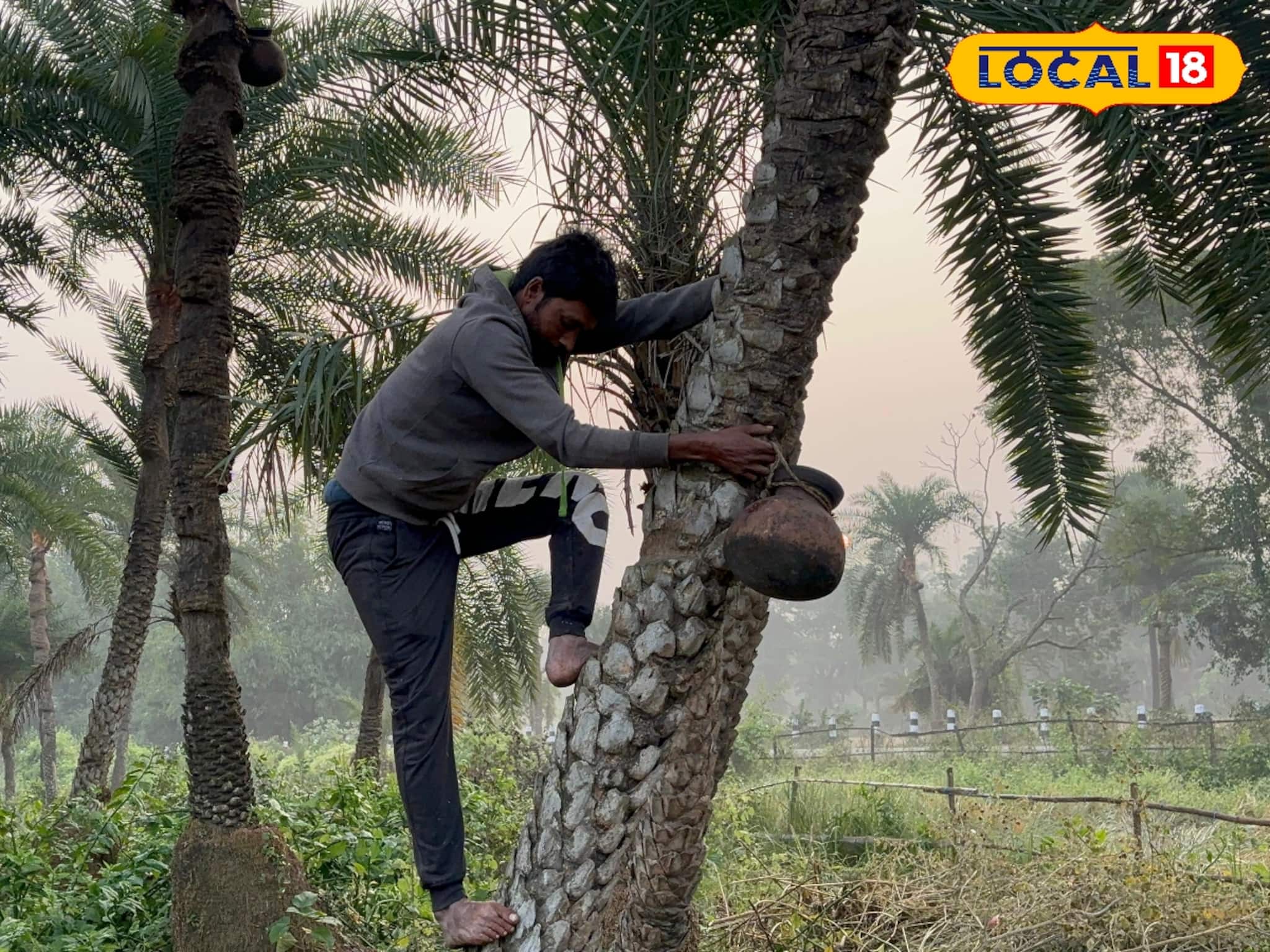 শীতের স্বাদে পাটালি, জানুন খেঁজুর গুড় দিয়ে তৈরি পাটালির অজানা গল্প!
