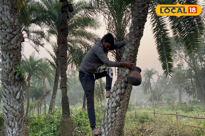 খেজুর গুড়ের সঙ্গে কমবেশি সকলেই পরিচিত। শীত এলেই গ্রামবাংলায় খেজুর গুড়ের পায়েস, লুচি কিংবা নানান ঐতিহ্যবাহী খাবারের কদর বেড়ে যায়। তবে খেজুর গুড়ের আরেক জনপ্রিয় রূপ হল ‘পাটালি’। শীতের মরসুমে এই পাটালির চাহিদা থাকে তুঙ্গে। কিন্তু অনেকেই জানেন না, কীভাবে তৈরি হয় এই সুস্বাদু খেজুর গুড়ের পাটালি।তথ্য ও ছবি: বনোয়ারীলাল চৌধুরী