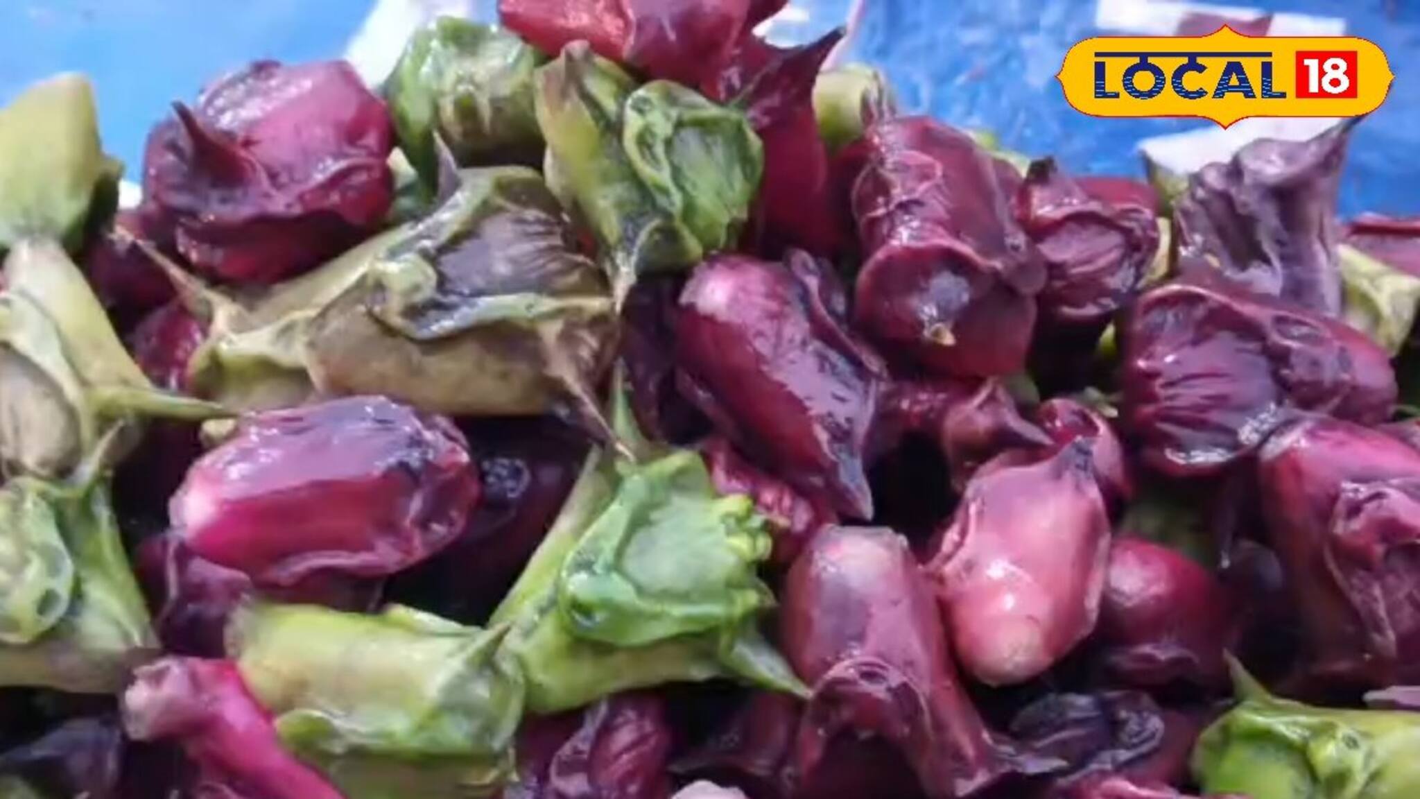 Health News: জমিয়ে শীত পড়তেই 'জল শিঙারা'র চাহিদা তুঙ্গে! রক্তচাপ নিয়ন্ত্রণে রাখে এই ফল