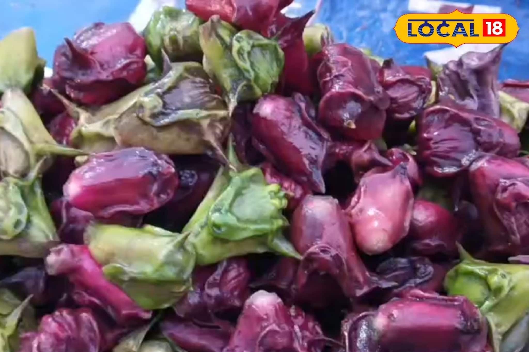 জমিয়ে শীত পড়তেই 'জল শিঙারা'র চাহিদা তুঙ্গে! রক্তচাপ নিয়ন্ত্রণে রাখে এই ফল