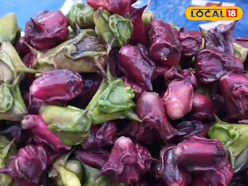 মুর্শিদাবাদের