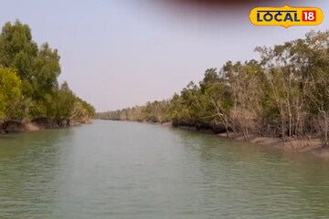 ঘুম ভাঙবে পাখির ডাকে, দেখা মিলতে পারে দক্ষিণরায়ের! সুন্দরবনের কোর জঙ্গল দেখে আসুন