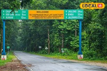 Jalpaiguri News:বড়দিন উপলক্ষে গরুমারা চাপামারি জঙ্গলের রাস্তায় কড়া নজরদারি, সেলফি ও রিল নিষিদ্ধ!