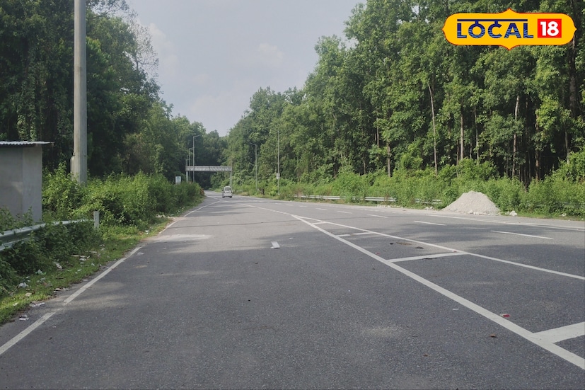 রাত পোহালেই বড়দিন। উৎসবের মরশুমে পর্যটকদের ভিড় বাড়ার কথা মাথায় রেখে গরুমারা ও চাপামারি সহ জলপাইগুড়ি জেলার বিভিন্ন জঙ্গলে কড়া সতর্কতা জারি করল বন দফতর। 