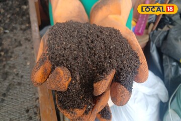 কেঁচোসার তৈরি করে মালামাল হওয়ার সুযোগ, সরকার দেবে ভর্তুকি! সহজে করুন আবেদন