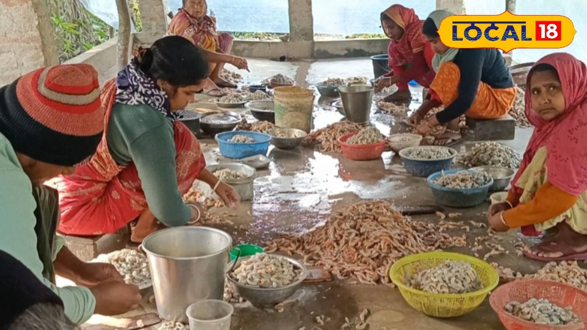 বসিরহাটে দারুণ সুযোগ...বাগদা চিংড়ির খোসা ছাড়িয়েই চলছে সংসার! কত রোজগার জানেন?