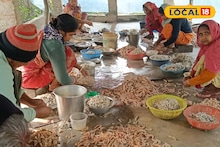 North 24 Parganas News: বসিরহাটে দারুণ সুযোগ...বাগদা চিংড়ির খোসা ছাড়িয়েই চলছে সংসার! কত রোজগার জানেন?