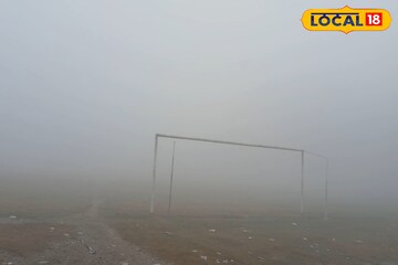 বাংলার ৫ জেলায় শীতের কামড়, দেখা নেই সূর্যের! কুয়াশায় ভরা চারদিকে নিমেষে শেষ দিন