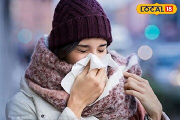 কড়া শীতে খাবেন কোন ফল,সবজি,খাবার? ৭ দিনে কাটবে শারীরিক দুর্বলতা, বাড়বে রোগ প্রতিরোধ ক্ষমতা