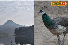 Purulia Tourism: মনমুগ্ধকর পরিবেশ, সঙ্গে মিলে ময়ূরের নাচ, পুরুলিয়া গেলে এটা মিস করবেন না