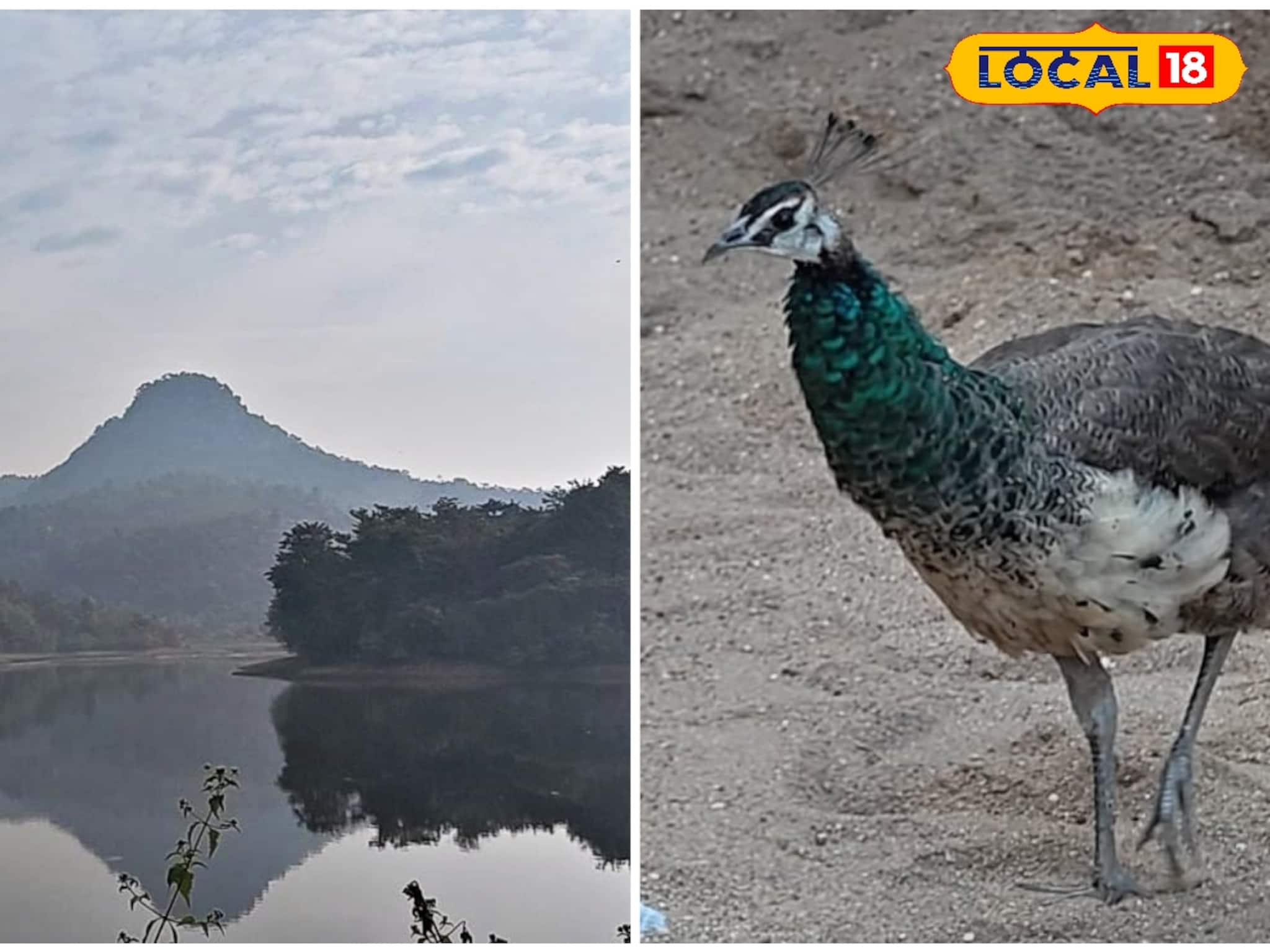 মনমুগ্ধকর পরিবেশ, সঙ্গে মিলে ময়ূরের নাচ, পুরুলিয়া গেলে এটা মিস করবেন না