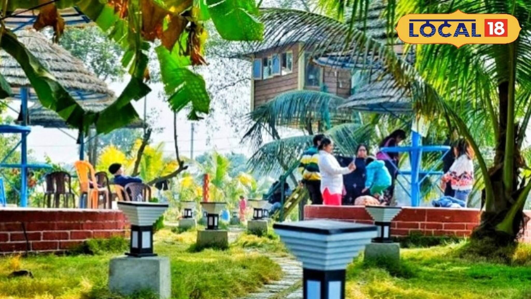 Picnic Spot: ট্রি হাউজ, বোটিং, কী নেই! শহর থেকে ১০ মিনিট দূরে এই পিকনিক স্পট! রইল ঠিকানা