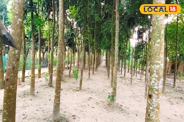 ট্রি হাউজ, বোটিং, কী নেই! শহর থেকে ১০ মিনিট দূরে এই পিকনিক স্পট! রইল ঠিকানা ট্রি হাউজ, বোটিং, কী নেই! শহর থেকে ১০ মিনিট দূরে এই পিকনিক স্পট! রইল ঠিকানা