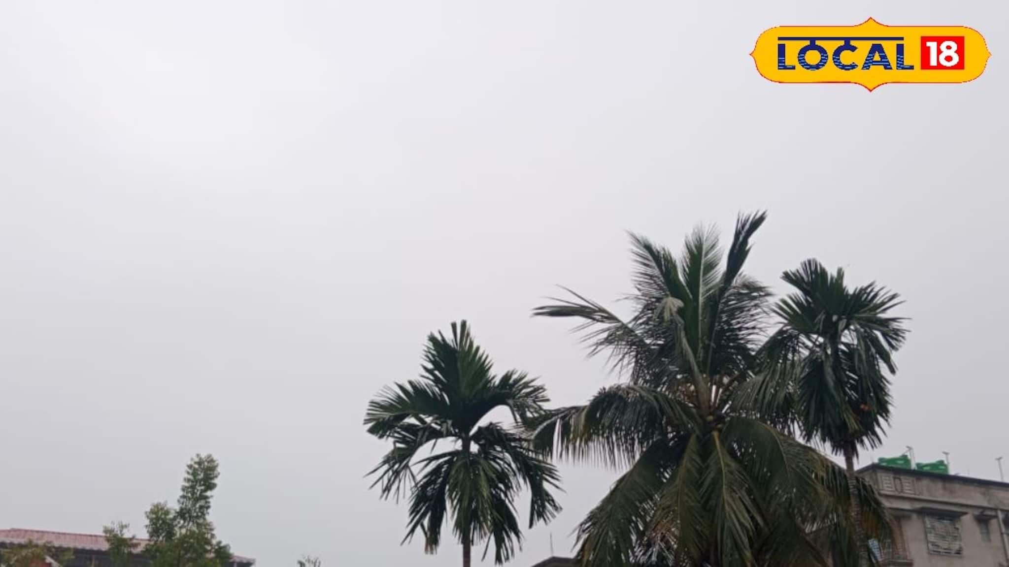 North Bengal Weather: বৃষ্টির সম্ভাবনা নেই, শীতের ছোঁয়ায় উত্তরবঙ্গ! সকালে কুয়াশা আর পাহাড়ে নামছে পারদ