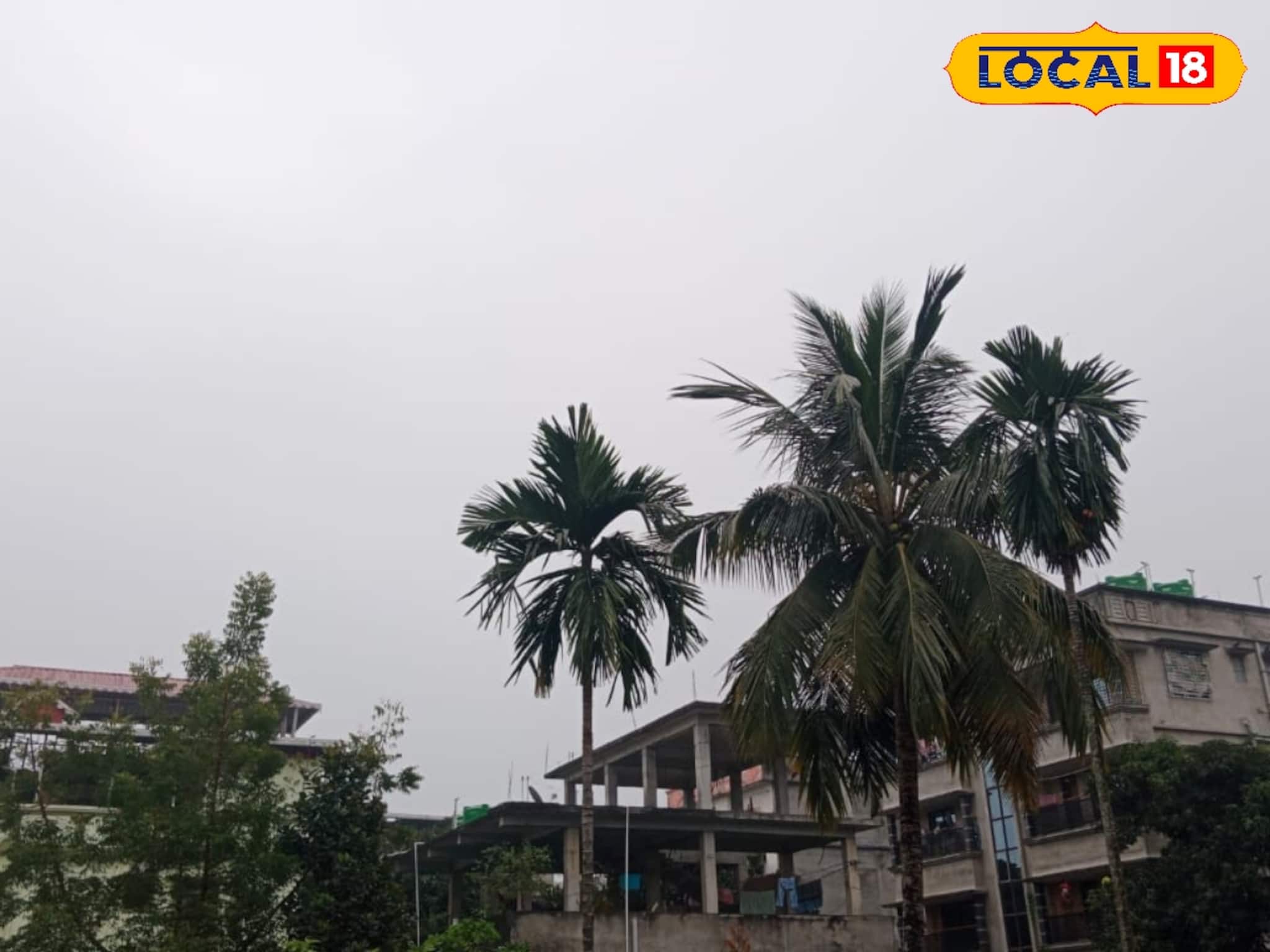 বৃষ্টির সম্ভাবনা নেই, শীতের ছোঁয়ায় উত্তরবঙ্গ! সকালে কুয়াশা আর পাহাড়ে নামছে পারদ