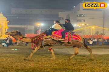 বছর শেষে কলকাতা যেন হয়ে উঠেছে এক খণ্ড মরুদ্যান! কোথায় এই 'মিনি রাজস্থান' জানেন?
