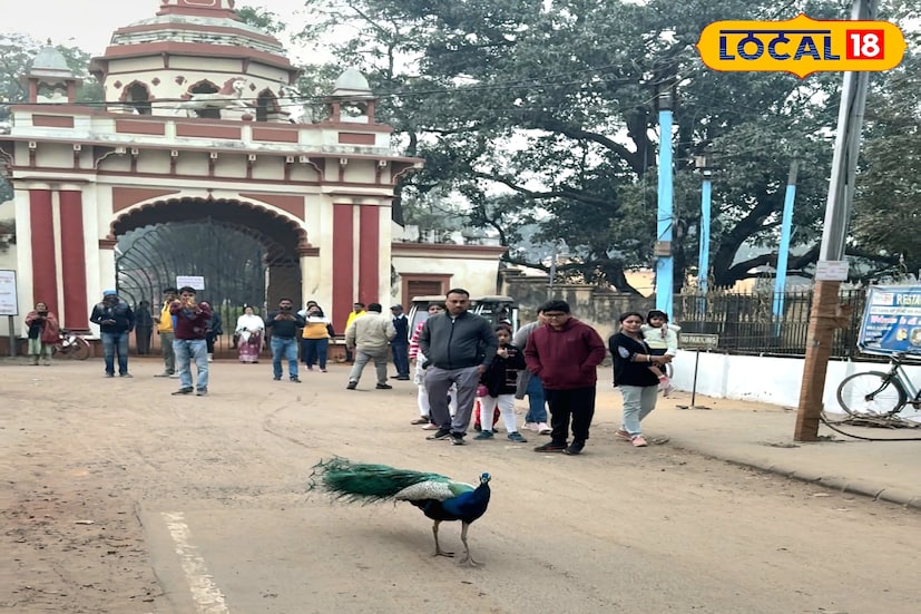 শীতের জঙ্গলমহল যেন এক অনন্য আনন্দ দেয়, সচরাচর তা অন্যত্র দেখা যায় না। শীতকালে ঝাড়গ্রাম জঙ্গলমহলে এলে তা উপভোগ করতে পারবেন। একদিকে যেমন সবুজ ক্ষেত্র মুগ্ধ করবে, তেমনই নজর কাড়বে বন্যপ্রাণীদের অবাধ বিচরণ। (ছবি এবং তথ্যঃ রঞ্জন চন্দ)