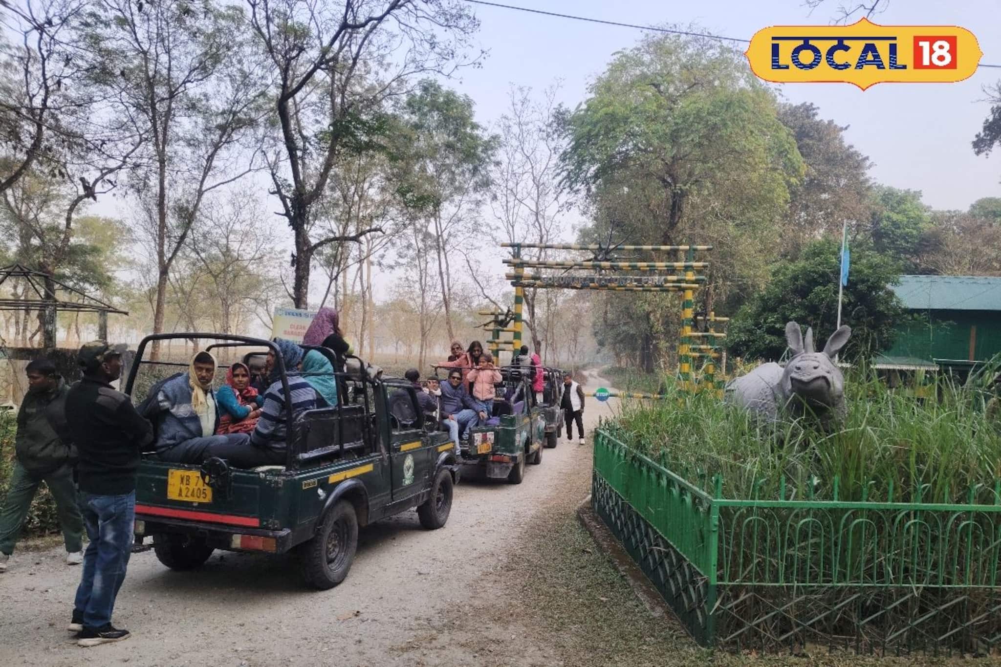 বর্ষশেষে ডুয়ার্সে পর্যটক ঢল, গরুমারা জাতীয় উদ্যানে জমজমাট জঙ্গল সাফারি