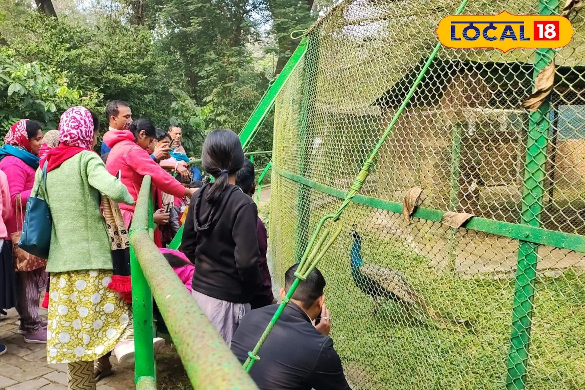 বছর শেষে ভিড় বাড়ছে বেথুয়াডহরি অভয়ারণ্যে, প্রবেশের সময় থেকে কোন দিন বন্ধ থাকে? জানুন!