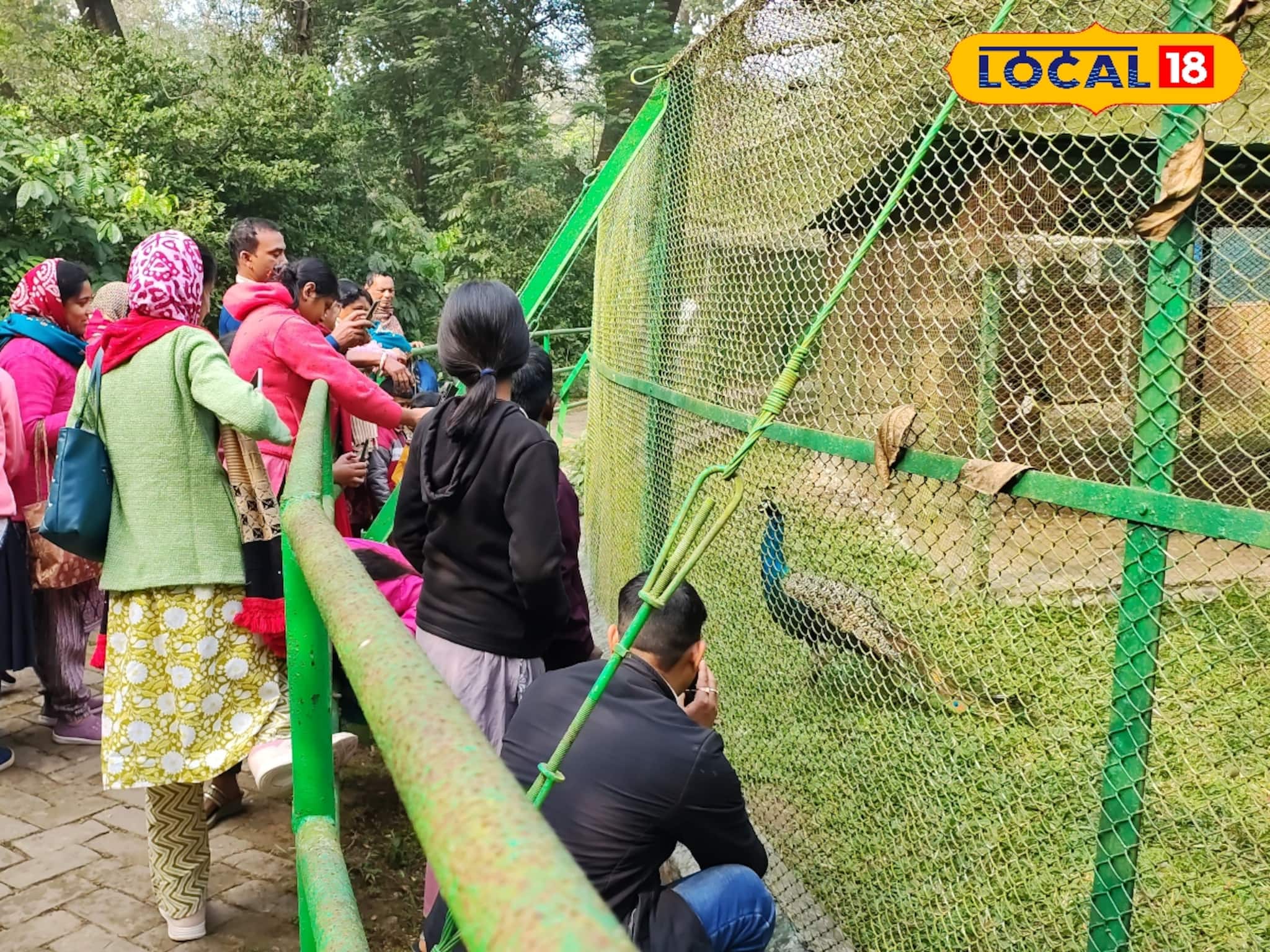 বছর শেষে ভিড় বাড়ছে বেথুয়াডহরি অভয়ারণ্যে, প্রবেশের সময় থেকে কোন দিন বন্ধ থাকে? জানুন!